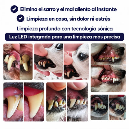 LiveSmile™ - Elimina el sarro endurecido de tu perro desde casa en 5 minutos