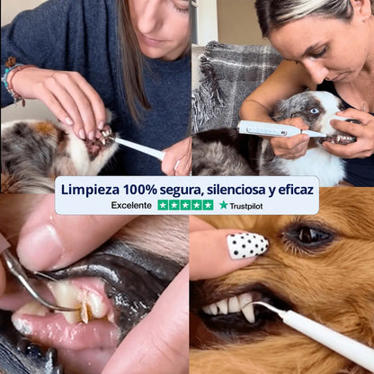 LiveSmile™ - Elimina el sarro endurecido de tu perro desde casa en 5 minutos