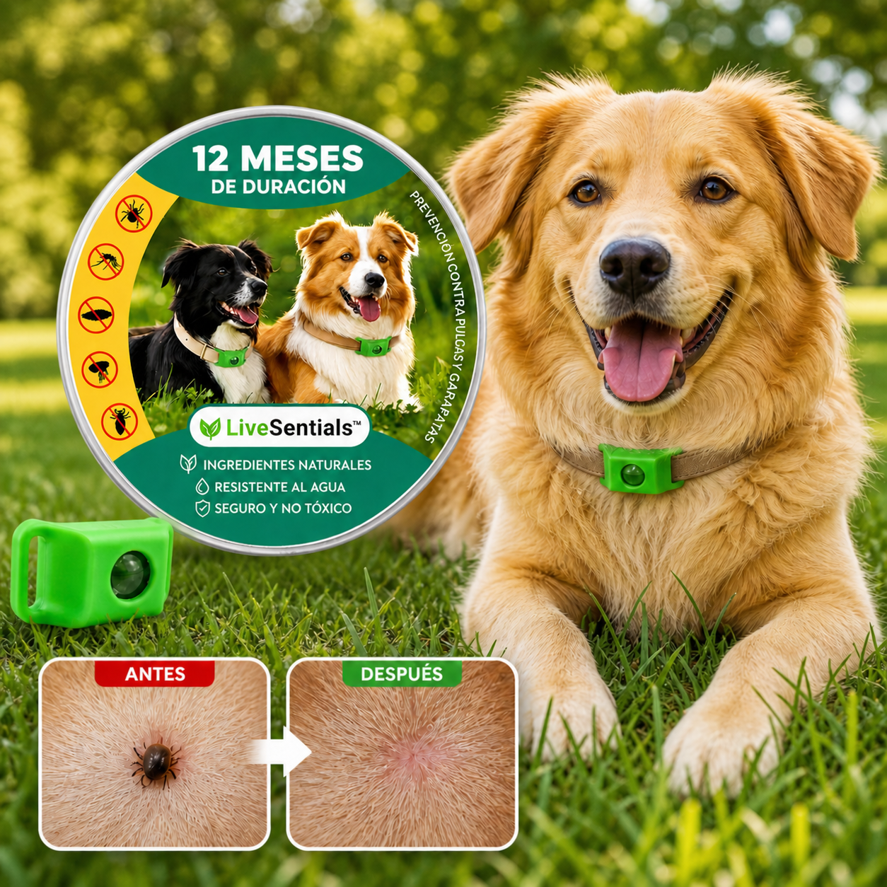 LiveSential™ 12 meses libre de pulgas y garrapatas