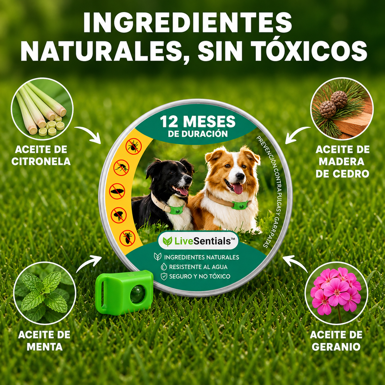 LiveSential™ 12 meses libre de pulgas y garrapatas