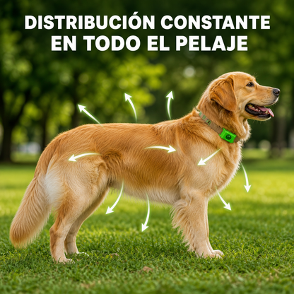 LiveSential™ 12 meses libre de pulgas y garrapatas
