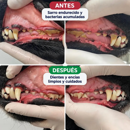 LiveSmile™ - Elimina el sarro endurecido de tu perro desde casa en 5 minutos